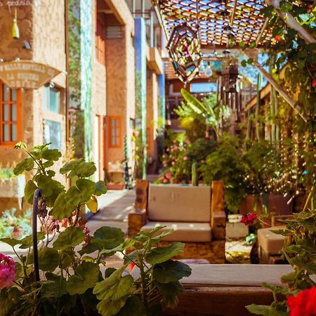 Hostal Valle Mistral La Serena Ngoại thất bức ảnh