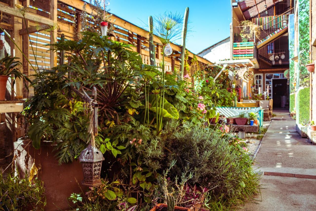 Hostal Valle Mistral La Serena Ngoại thất bức ảnh