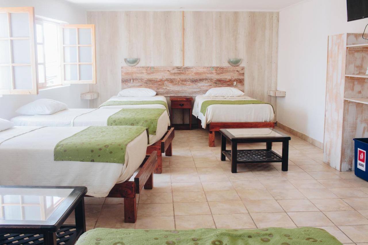 Hostal Valle Mistral La Serena Ngoại thất bức ảnh