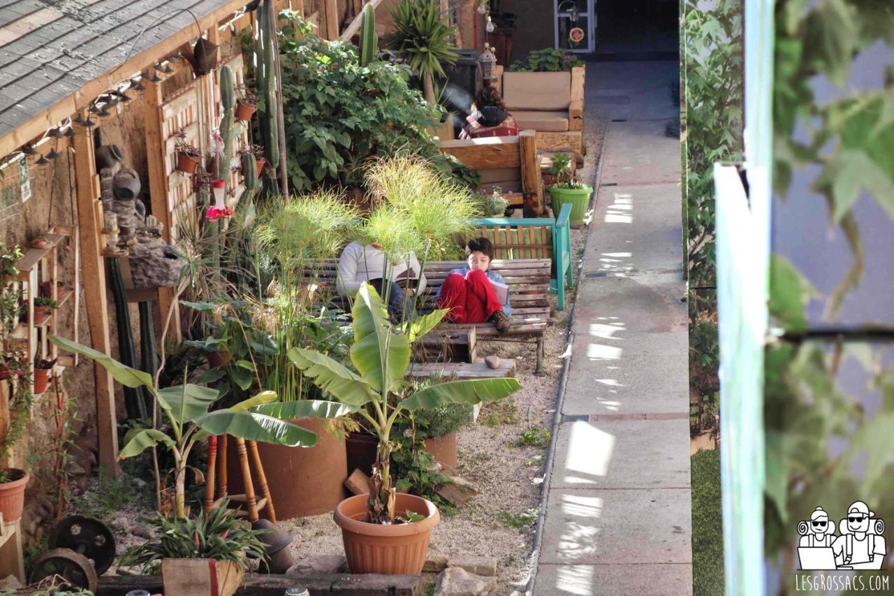 Hostal Valle Mistral La Serena Ngoại thất bức ảnh