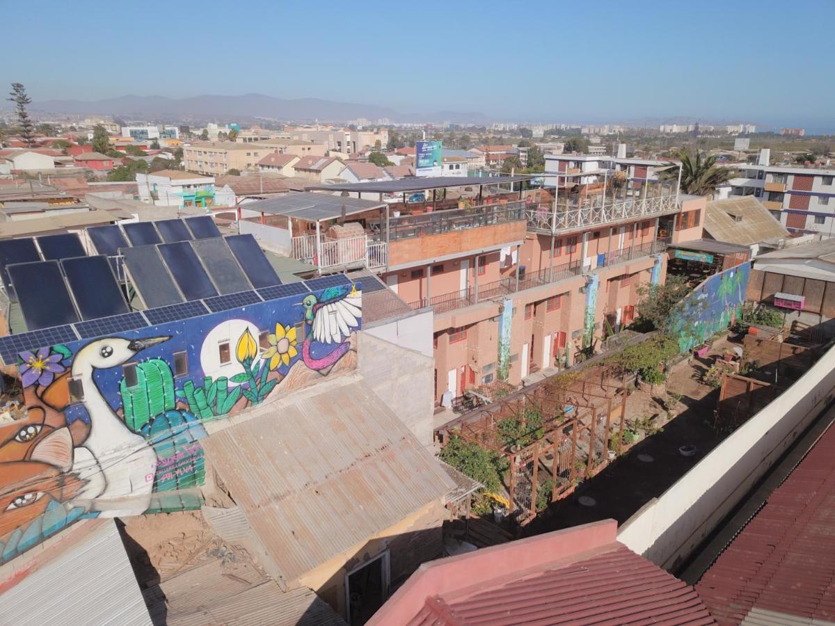 Hostal Valle Mistral La Serena Ngoại thất bức ảnh